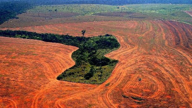 El biocombustible, en el punto de mira del activismo climático