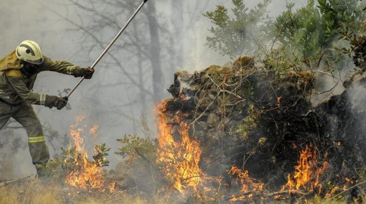 Incendio forestal.