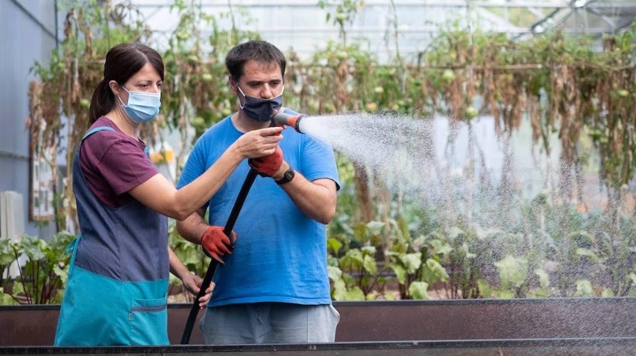 Trabajo en la finca La Fageda, una de las empresas sociales más conocidas del país.