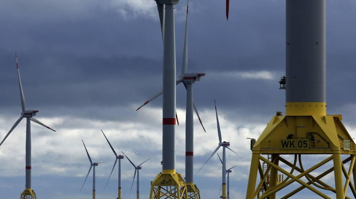 Parque eólico marino de Iberdrola.