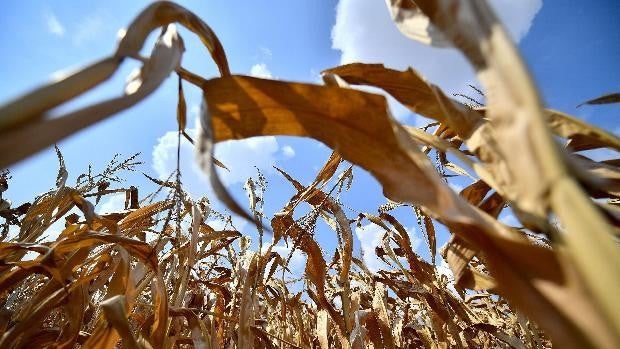 Los agricultores ponen cifra al cambio climático; 550 millones de euros al año