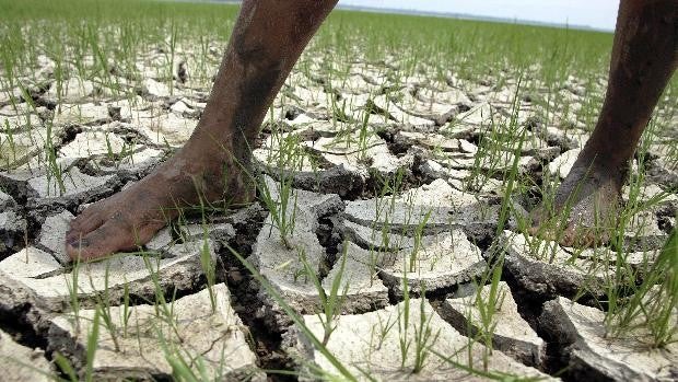 La adaptación al cambio climático necesitará 340.000 millones de euros al año hasta 2030