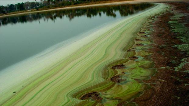 Por qué el metano se disparó el año del confinamiento sin apenas contaminación