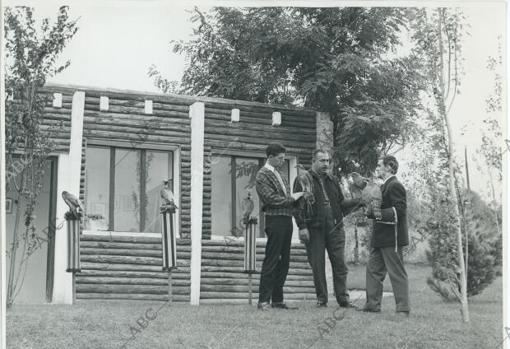Frente a las halconeras de la Casa de Campo, los cetreros, señores Pérez Tabernero, Aza y Rodríguez de la Fuente conversan en 1958. Las aves, entre tanto, permanecen impasibles sobre las alcándaras.