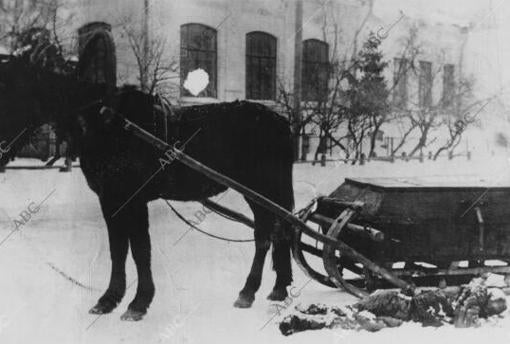 Ucrania. Holodomor. Fotografías del hambre.