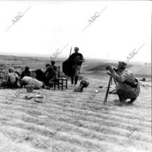 Tropas africanas en la Guerra Civil
