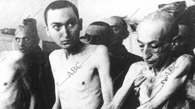 Auschwitz, el gigantesco campo de exterminio donde los nazis mataron a más de un millón de personas
