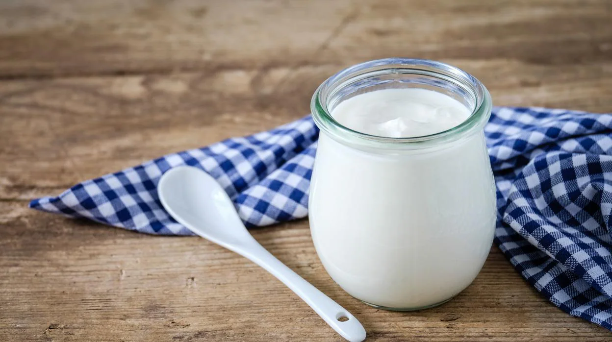 Yogur natural  Propiedades y beneficios del yogur natural
