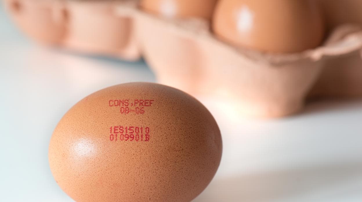 El código de barras del huevo indica su lugar de procedencia