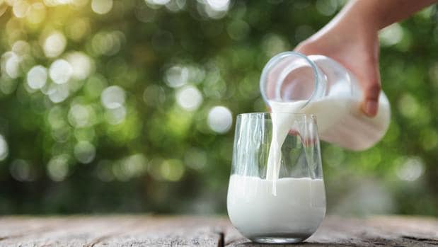 ¿Ayuda a perder peso cambiar la leche entera por la leche desnatada?