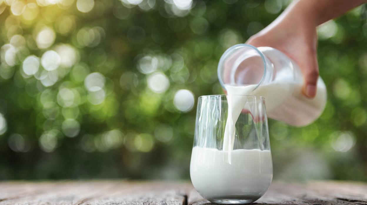 Beneficios de la leche semidesnatada