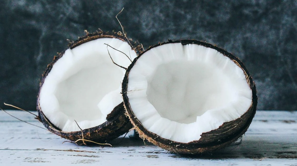 Fibra de coco: qué es, de dónde se obtiene y sus usos