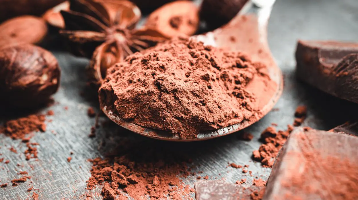 Cacao en polvo: ¿Hay alguno sano o son todos azúcar oscuro?
