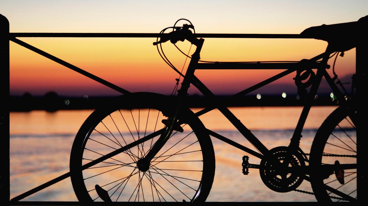 La historia de la niña y la bicicleta rosa que cambiará tu forma de hablar a los demás