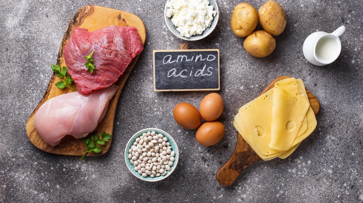 Aminoácidos: qué alimentos tienen más y cómo tomarlos