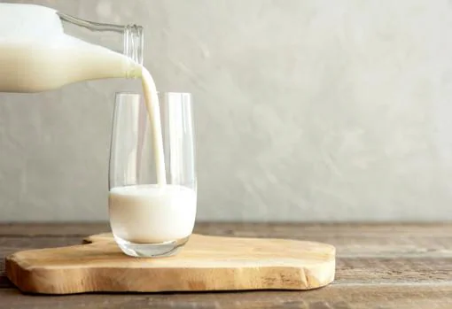 Lácteos saludables: qué leche, queso y yogur elegir para comer sano
