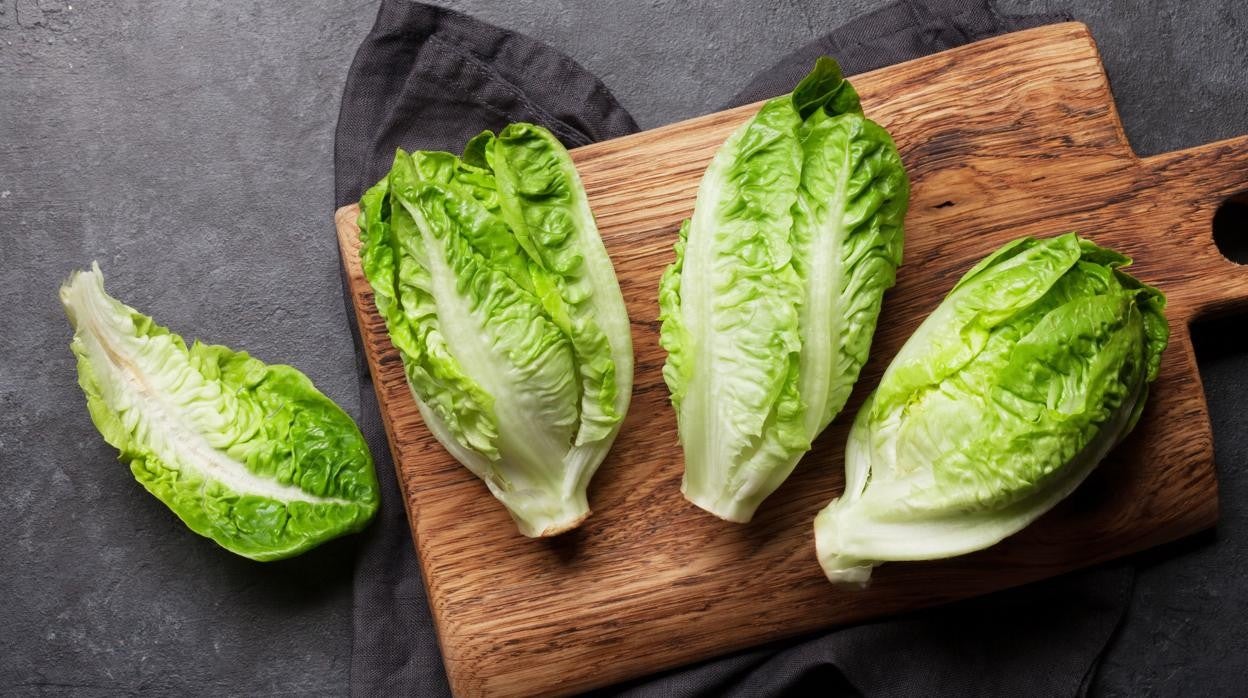 Cinco mentiras y una verdad sobre la lechuga.