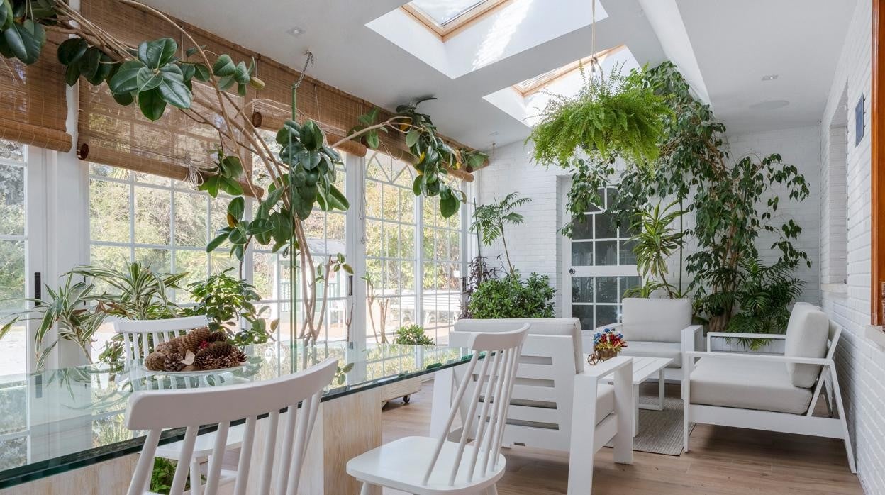 Los espacios con plantas aportan calma y vitalidad a las estancias