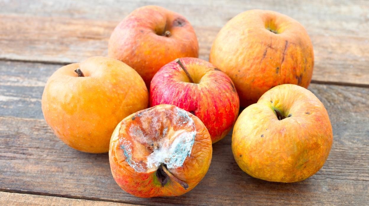Las frutas y verduras son de los alimentos más proclives a tener moho