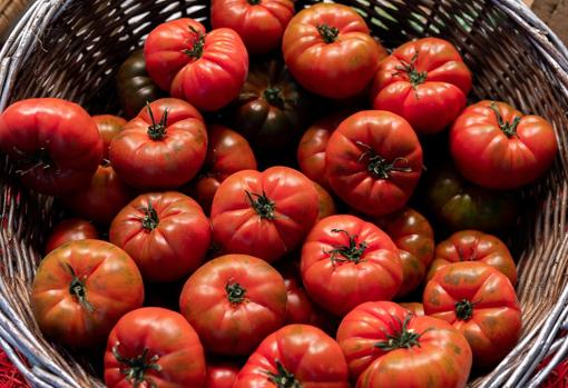 Beneficios de los tomates.