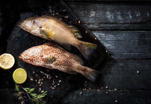 Anchoa, mero y sepia: los beneficios de los pescados de temporada