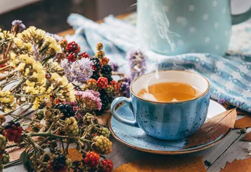 Los beneficios del té verde: curiosidades y cómo tomarlo cuando hace calor