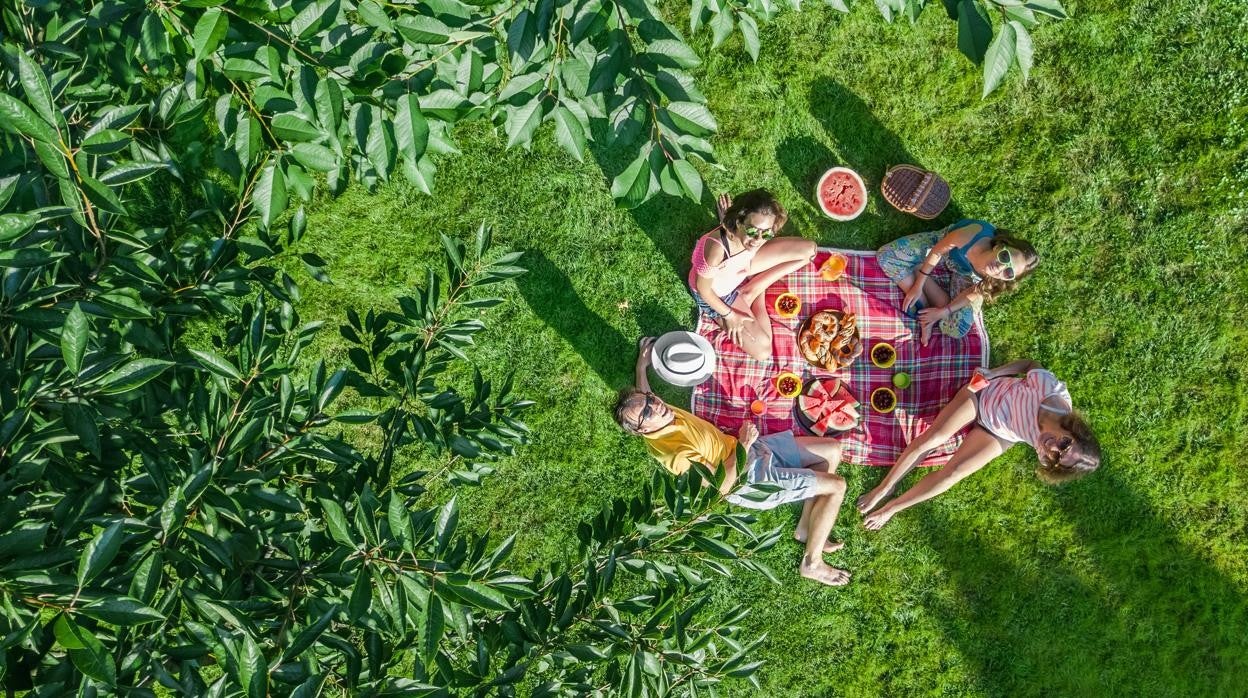 De tu casa al campo: ideas de recetas para un picnic improvisado