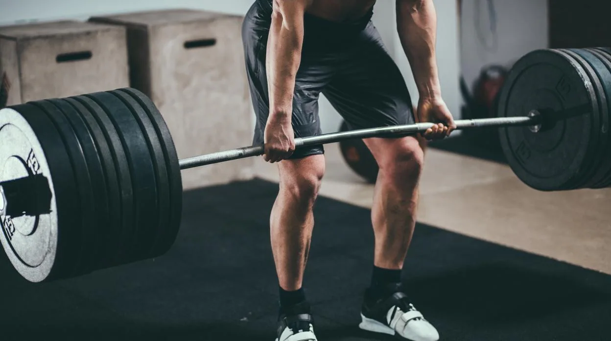 Fibras musculares de contracción rápida: atento si practicas actividades de fuerza, velocidad y corta duración