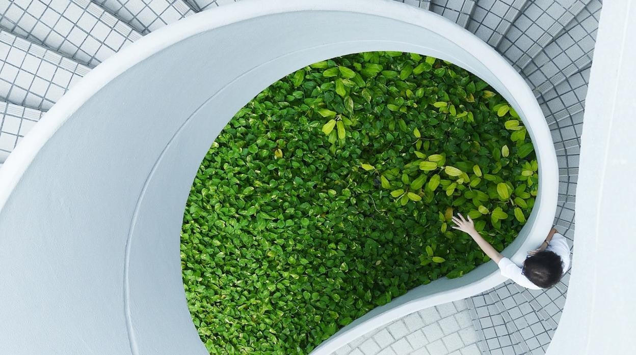 Efecto placebo o la historia de los pacientes que mejoraban con el color verde