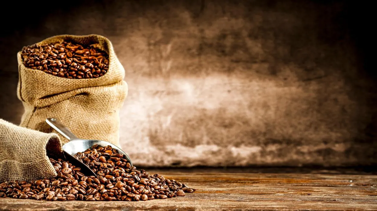Quemagrasas natural y otros beneficios que desconoces del café