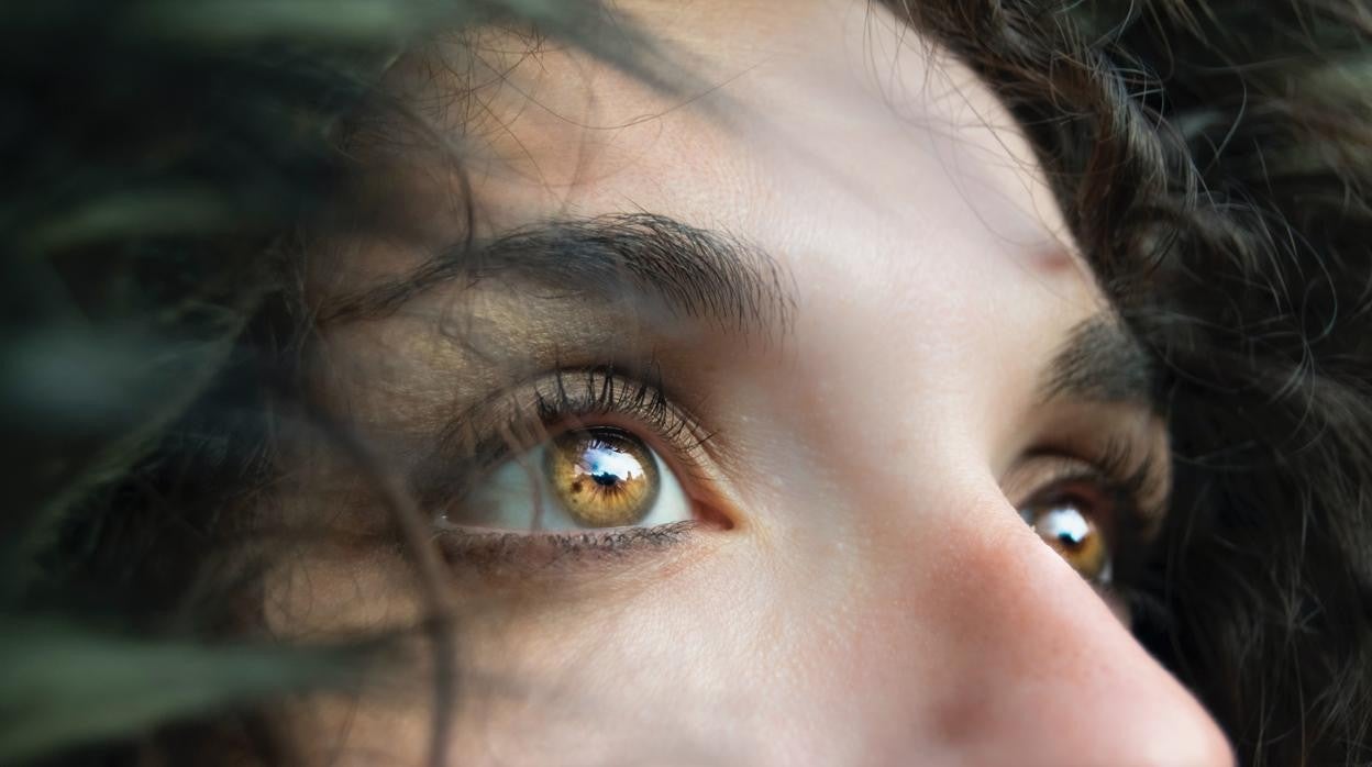 ¿Comer por los ojos o para los ojos? Diez nutrientes buenos para la vista