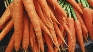 zanahorias--kh6--300x168@abc