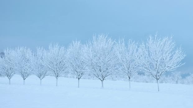 ¿Existe realmente la tristeza invernal?