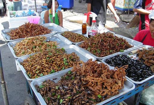 Mercado de insectos