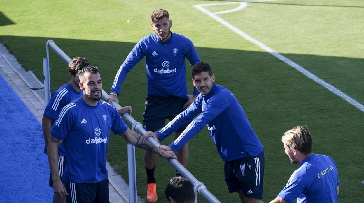 Negredo y garrido, entre otros, en el rosal.