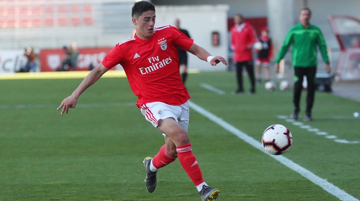 El extremo Tiago Gouveia, jugador del Benfica.