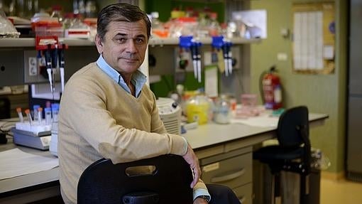 Juan Antonio Bueren posa para ABC en su laboratorio en el Ciemat