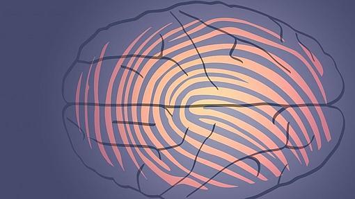 El patrón de conexiones de cada cerebro es único