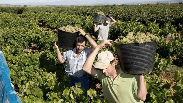 La Rioja, la comunidad que experimentó el mayor crecimiento