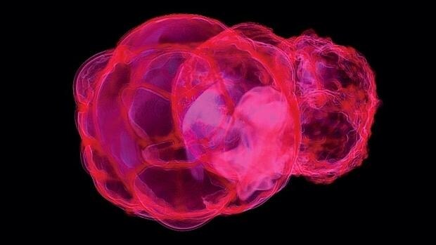 Una simulación de átomos de hierro-60 dispersos por múltiples supernovas cerca del sistema solar hace 2,2 millones de años