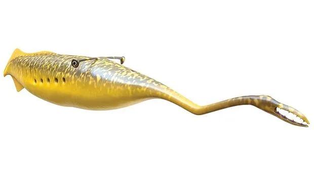 Según la última investigación, esta criatura podría ser un tipo de pez muy raro con buena capacidad de visión