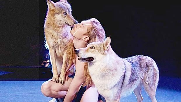 Ivan, durante los ensayos con lobos para su participación en Eurovisión