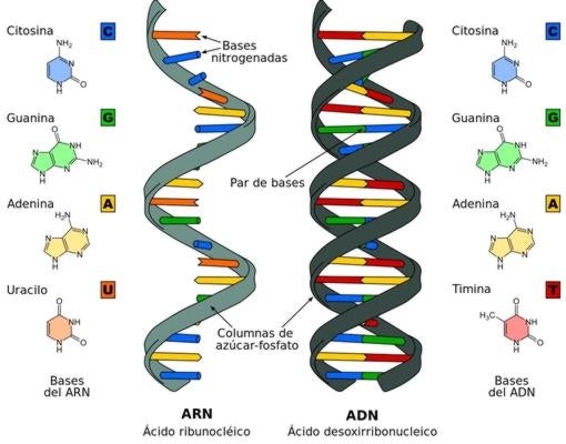 La química que encendió la chispa del origen de la vida