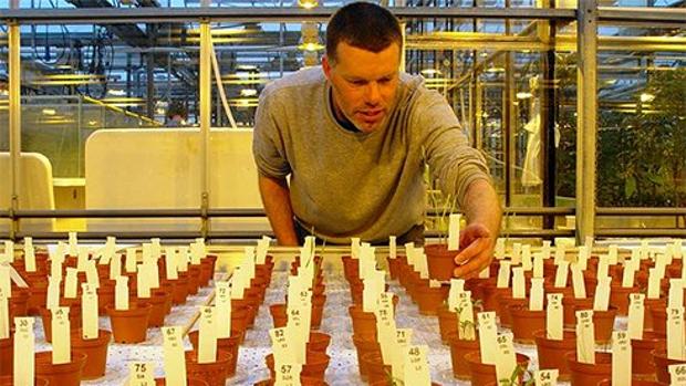 Wieger Wamelink muestra los cultivos en suelo «marciano»
