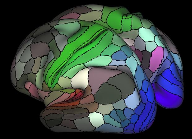 Un detallado mapa del cerebro duplica el número de regiones conocidas