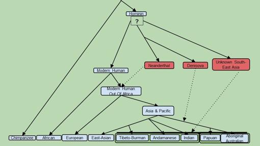 Descubren un nuevo antepasado del hombre
