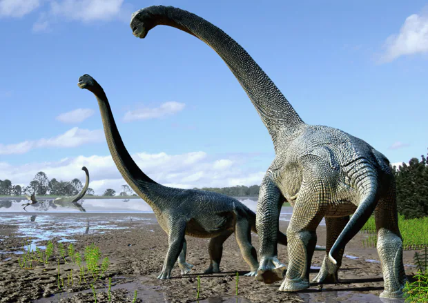 Recreación del Savannasaurus elliottorum