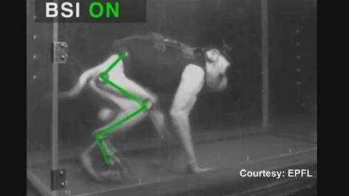 Las seis noticias de Ciencia más impactantes de la semana