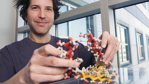 David Baker, investigador de la Universidad de Washington, con un modelo 3D de una de las proteínas no naturales