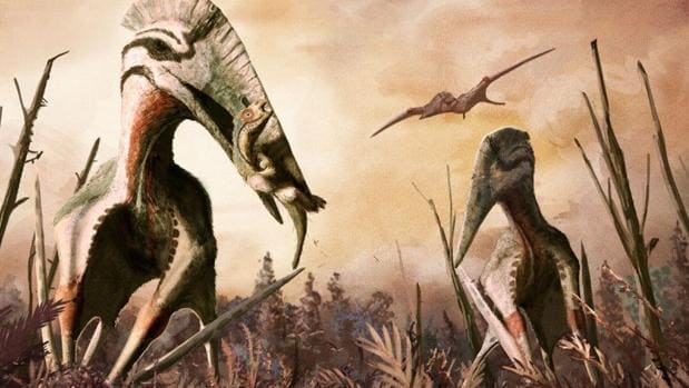 El Hatzegopteryx podía devorar pequeños dinosaurios